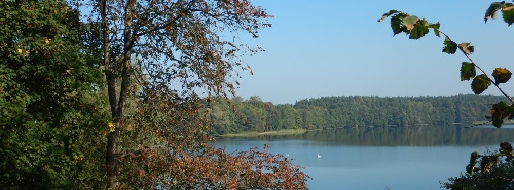 Zawiadomienie o przedłużeniu konsultacji społecznych w sprawie ustanowienia planu ochrony Drawskiego Parku Krajobrazowego